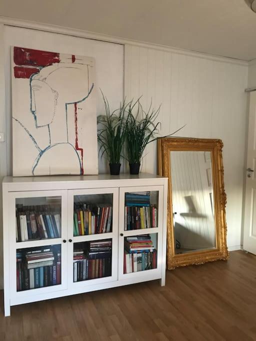 Stort Hus I Porsgrunn Sentrum Med Gangavstand Til "Alt" & Gratis Parkering Til Flere Biler Exteriör bild
