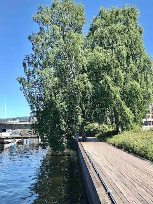 Stort Hus I Porsgrunn Sentrum Med Gangavstand Til "Alt" & Gratis Parkering Til Flere Biler Exteriör bild