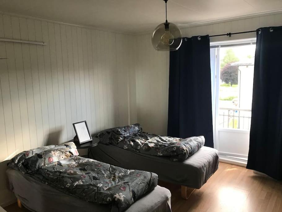Stort Hus I Porsgrunn Sentrum Med Gangavstand Til "Alt" & Gratis Parkering Til Flere Biler Exteriör bild